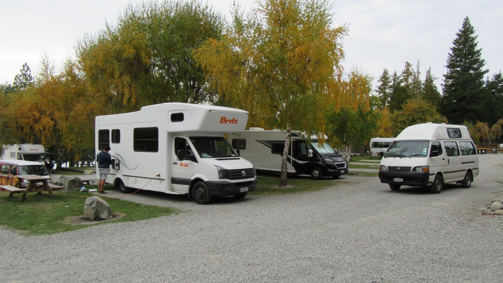 Tekapo Region Camping banner image