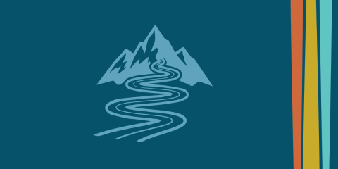 Procurement Strategy