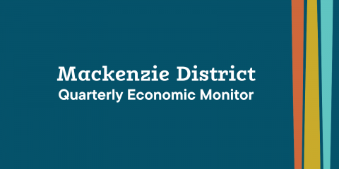 Infometrics Quarterly Economic Monitor report - June 2022