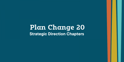 Plan Change 20 - Strategic Direction Chapters Formally Approved by Council