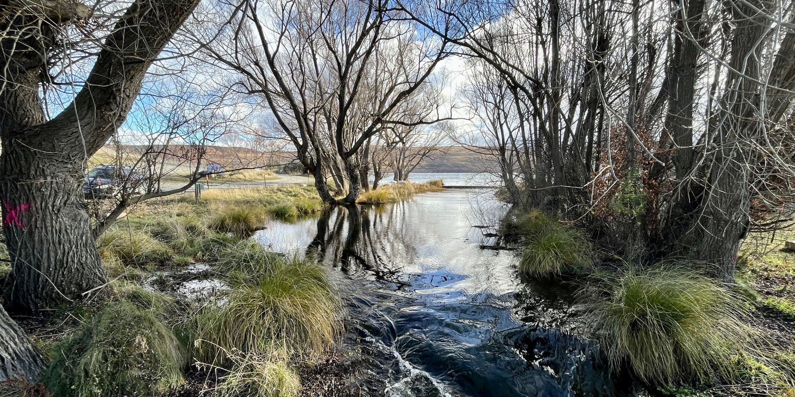 Lake Alexandrina - July 2023 - banner banner image