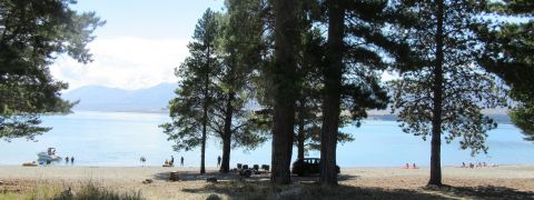 Tree Maintenance work at Lakeside Drive - Tekapo