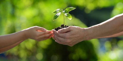 Waitaha Action to Impact (WAI) Fund - Environment Canterbury