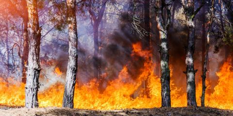 Firebreak improvement work - Hamilton Drive - Murray Place Firebreak - Tekapo