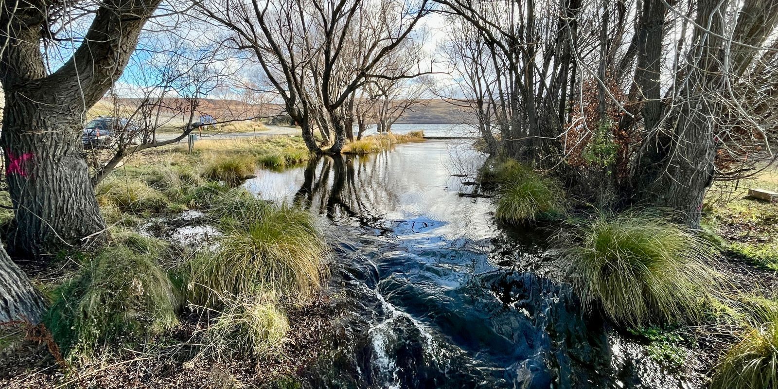 Lake Alexandrina March 2024 banner image