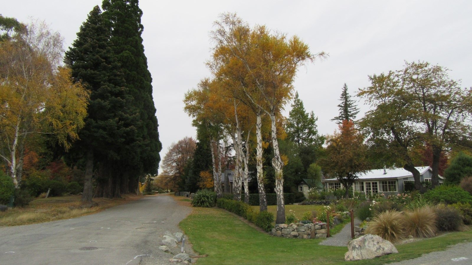 Tekapo Region banner image