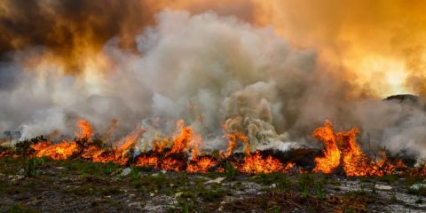 Reducing the risk of wildfires in and around Lake Tekapo - Information Session