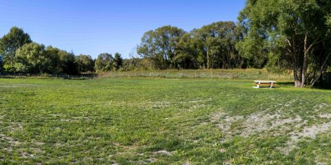 Fairlie Dog Park opened