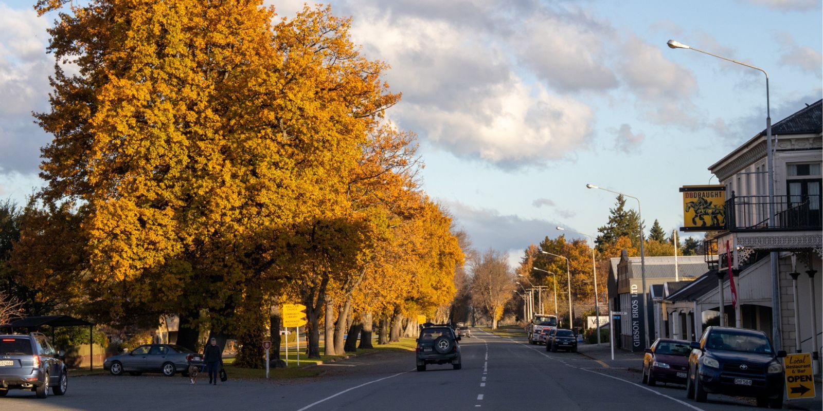 Fairlie Main Street trees banner image