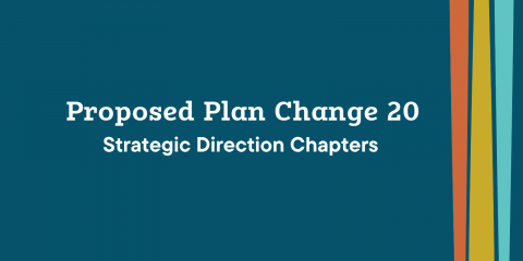 Proposed Plan Change 20 - Strategic Direction Chapters 