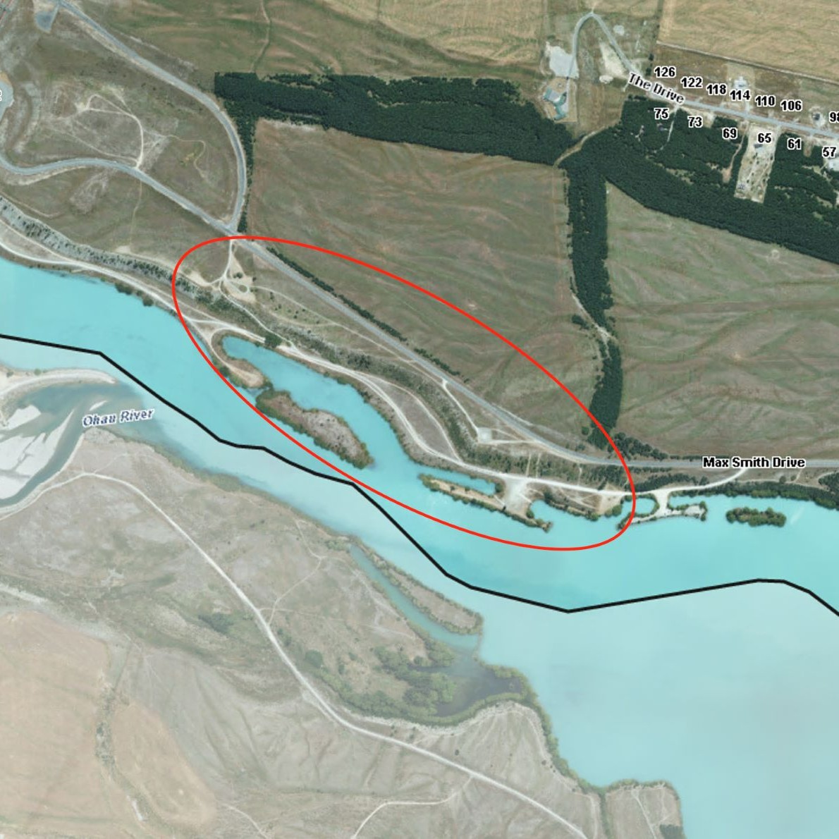 Lake Ruitaniwha Feral Cat map