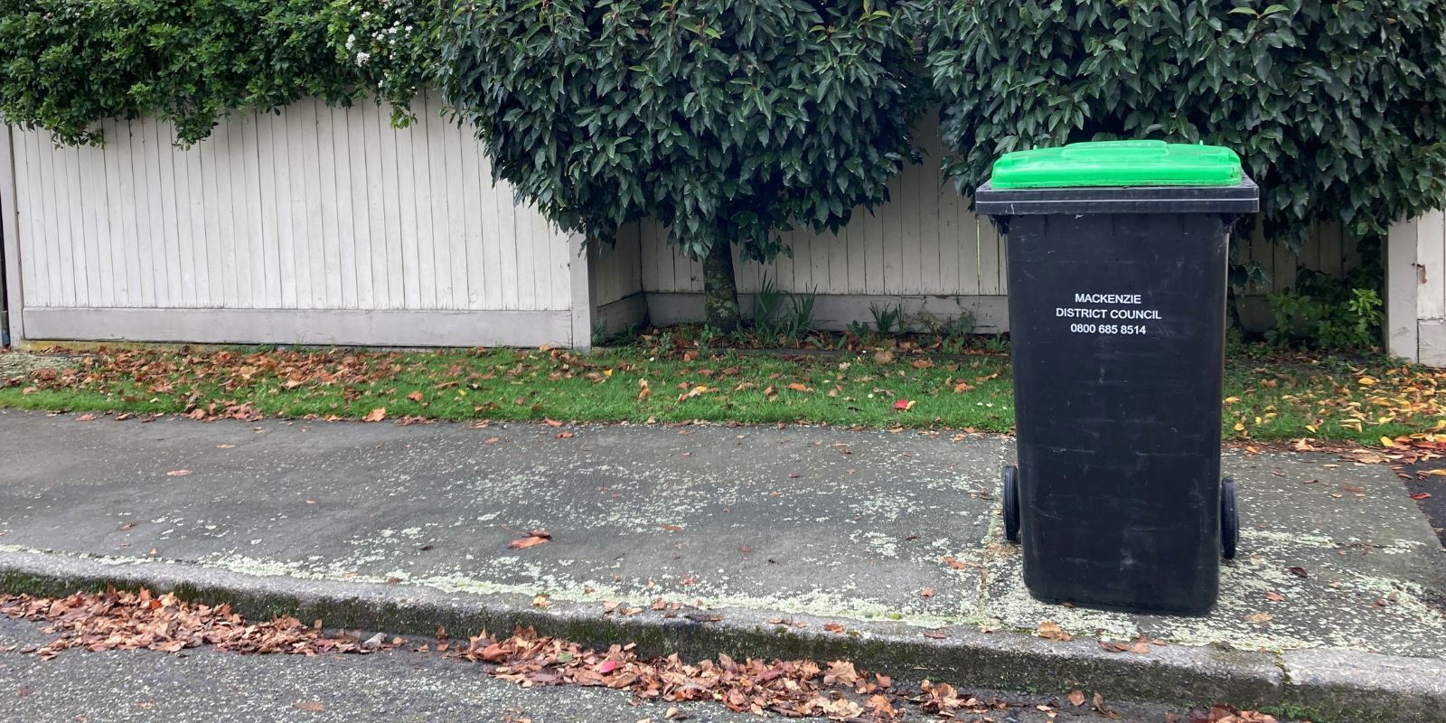 Green bin at Fairlie banner image