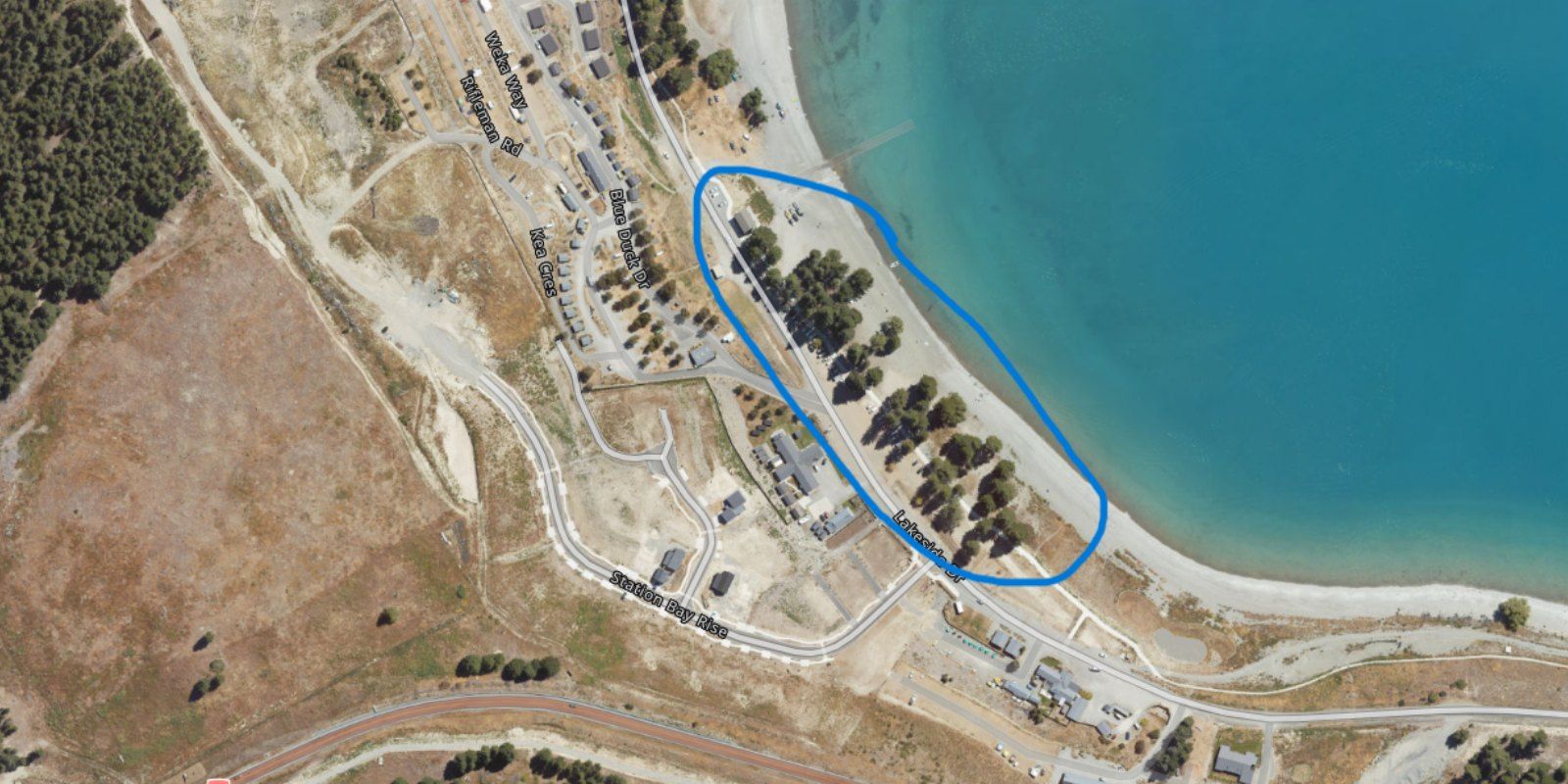 Lakeside Drive Tekapo tree work  banner image