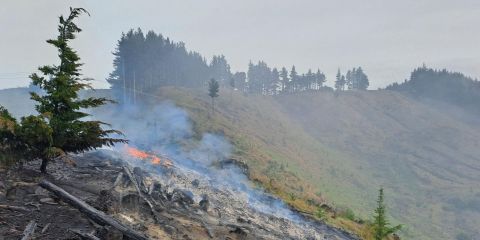 Lake Tekapo Wildfire Prompts Strong Warning about Risk