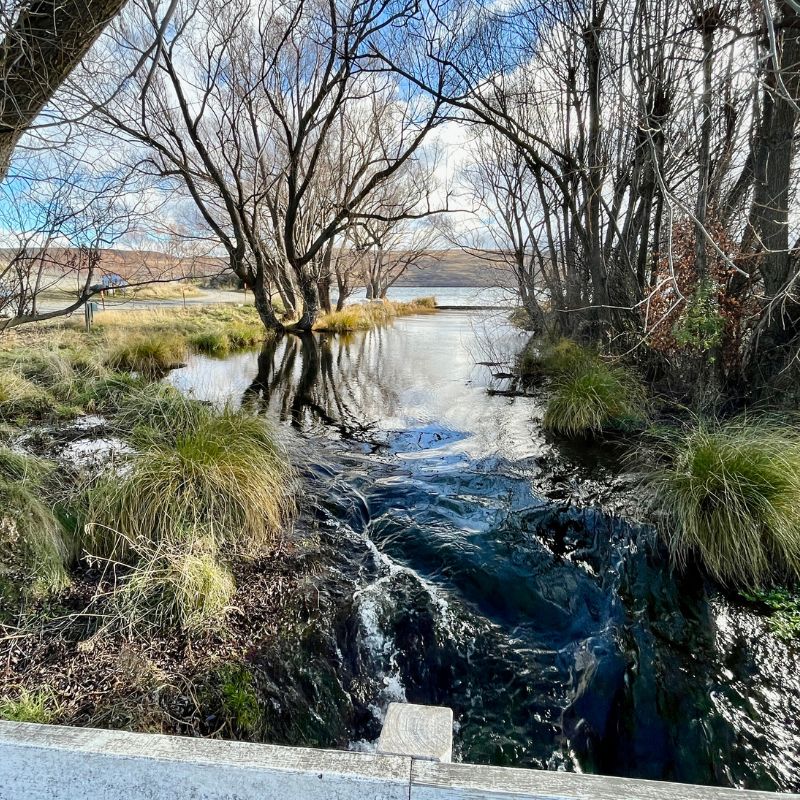 Lake Alexandrina March 2024