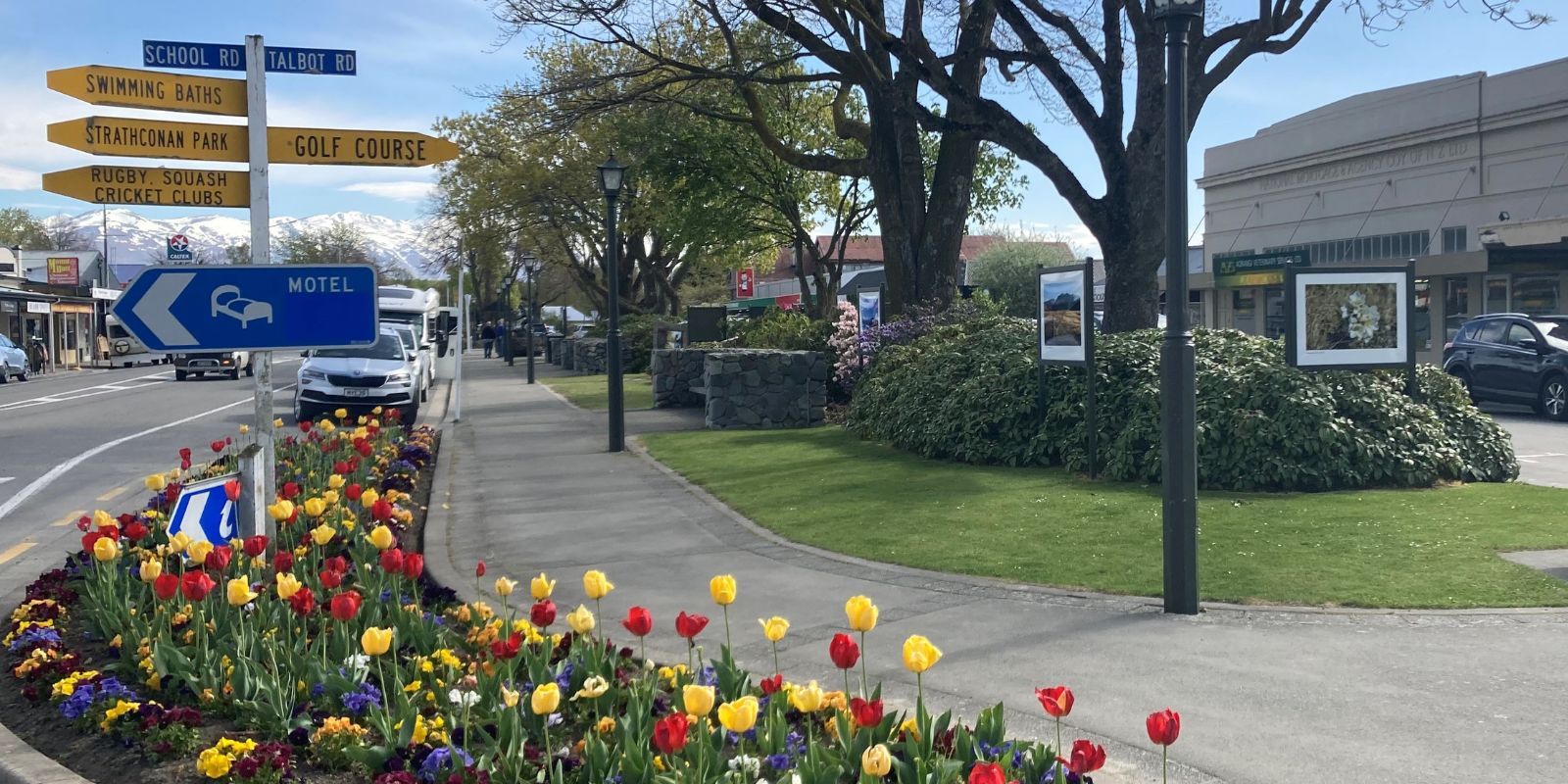 rlie Main Street  banner image