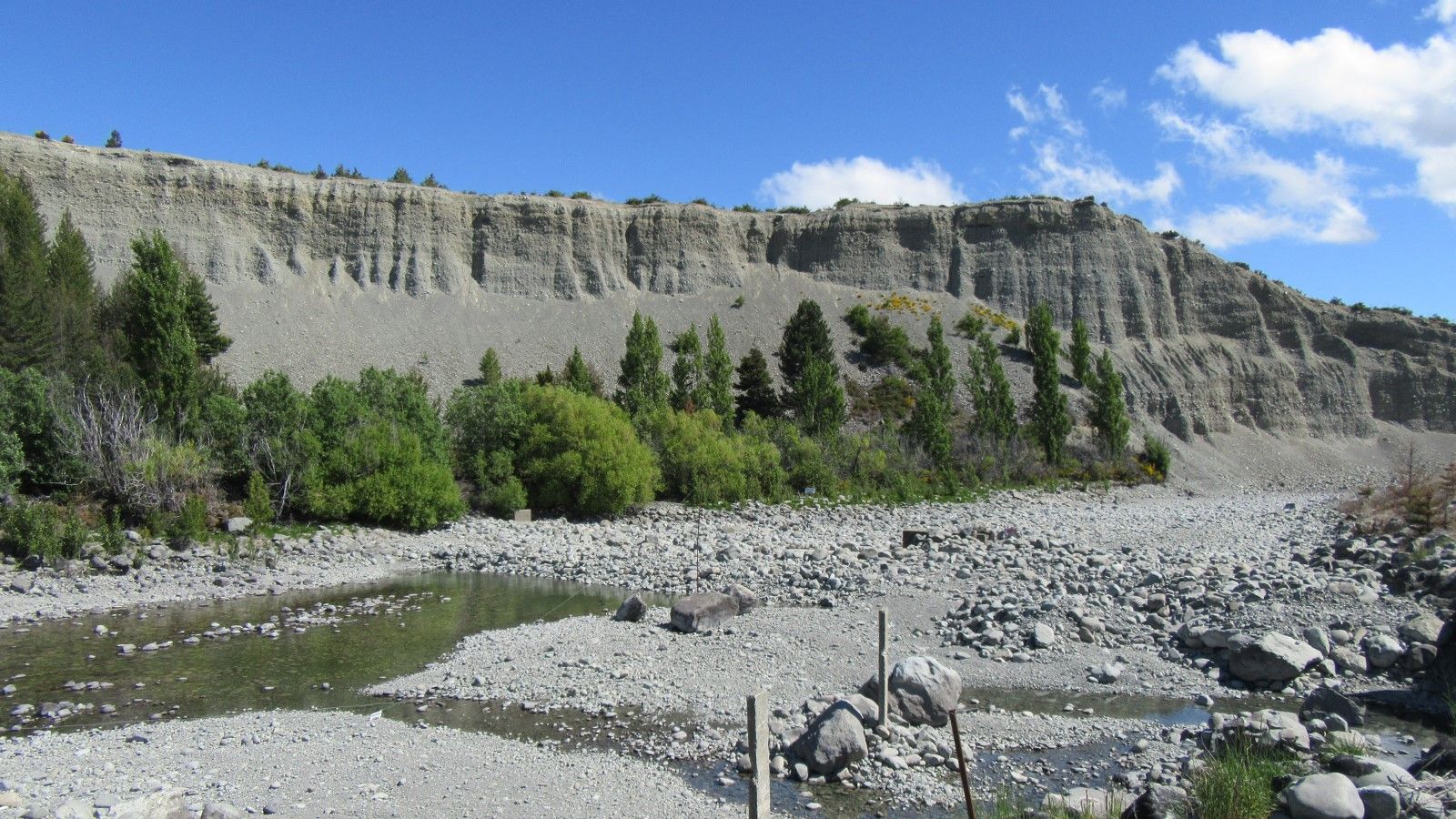 Tekapo Region banner image