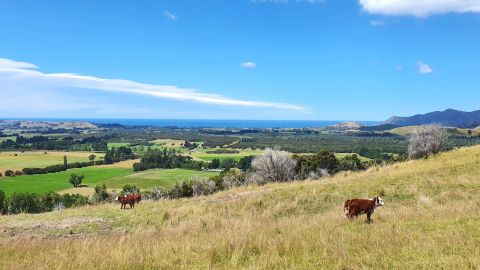 Now is your chance to join the Regional Water Management Committee