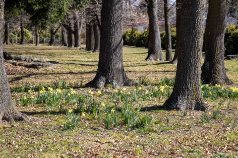 Changes to agenda for upcoming Council meeting